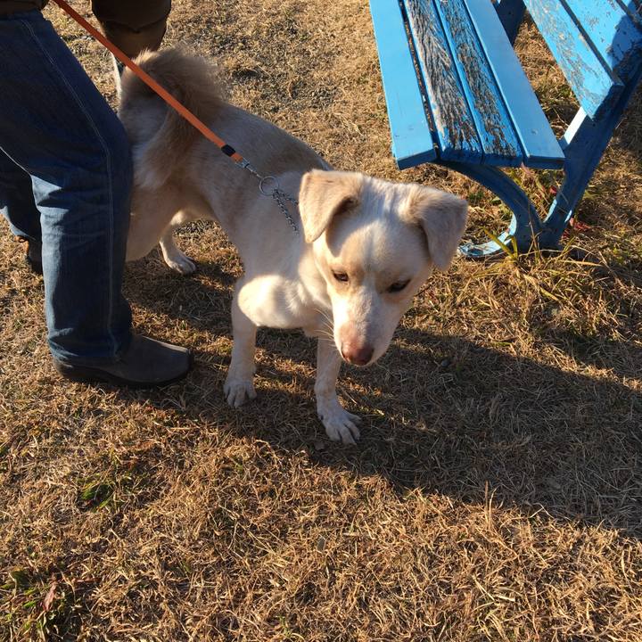 07434c74 d6be 47e2 ad33 cf9832bcd0ef