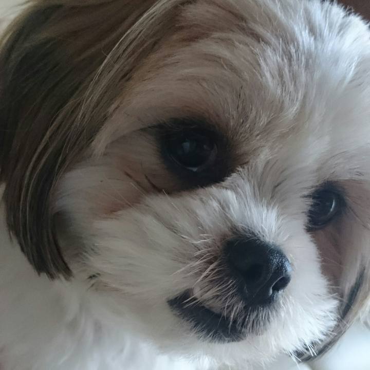 07437e65 d1b8 4547 9360 2f8690f6f056