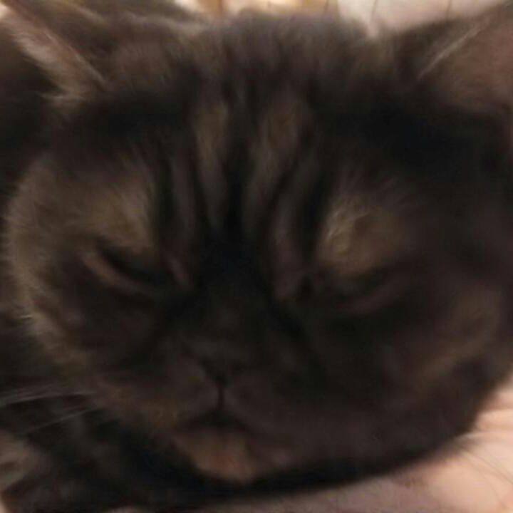 0743cf0b 345d 43d3 9666 14201a3a3bcc