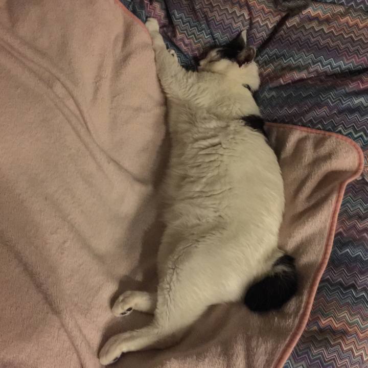 07447e6f 4dde 4fbd 865d 52cfa02bb774