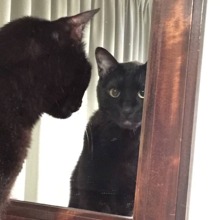 07454a98 058e 4821 933e 29e68b0baba0