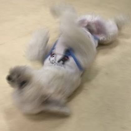 0745ee6d 8588 4c71 a768 1691e8300c41