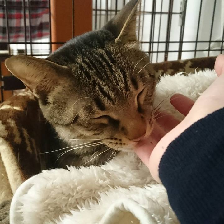 0746a9c3 af89 4b2c 9e51 5a68053ec577