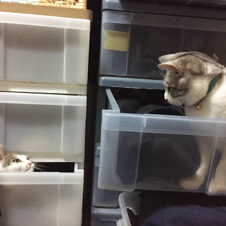 07471ebd d1ad 4eb6 ab3a 6a29bc482670