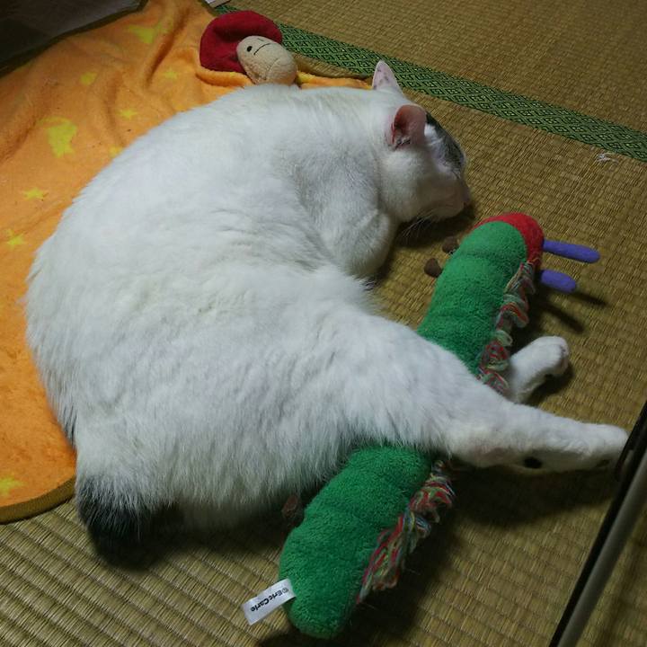 0748dc58 817b 4096 b120 161ed26dc0f3