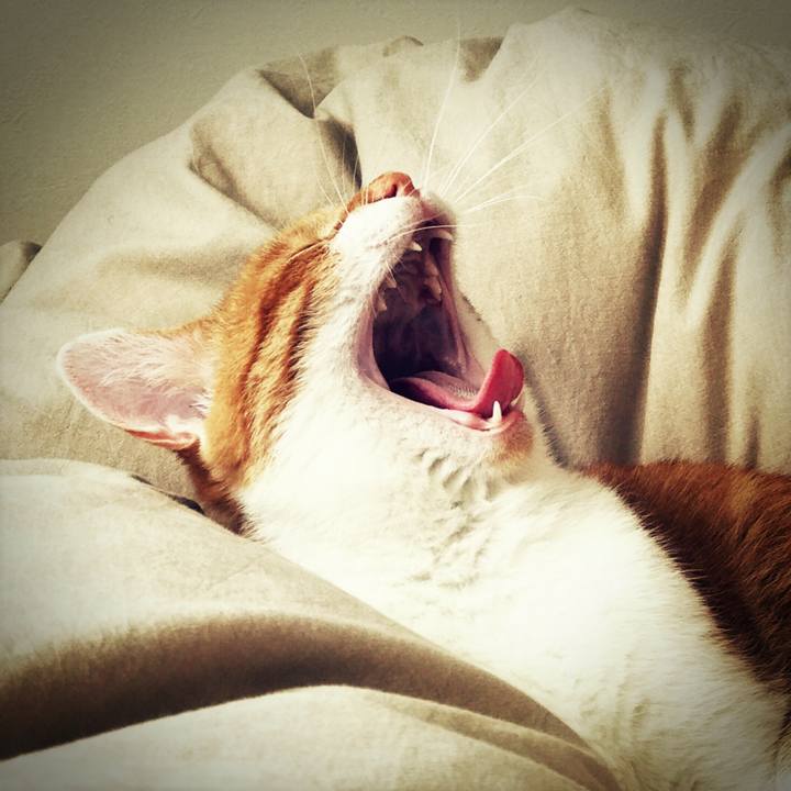 0749197c de2c 4f9c 8e6f f6f8762e318a