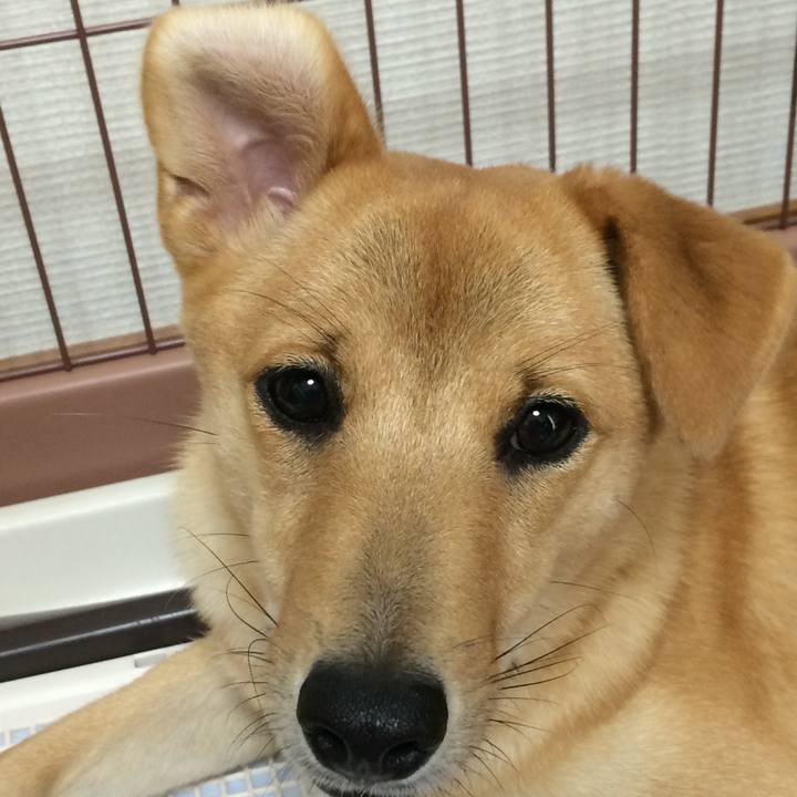 0749b4b3 4a12 4690 8191 d7dc660d7ca9