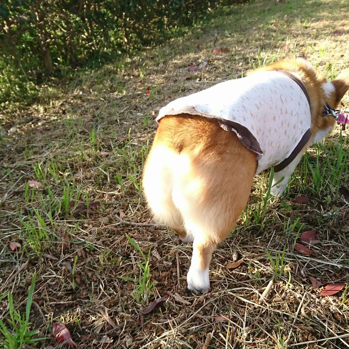 074a4199 7f47 4540 8913 2e37b74b6e45