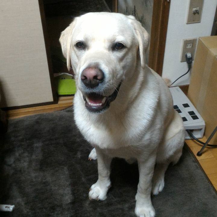 074a7073 64af 4404 b402 e72c0d957970