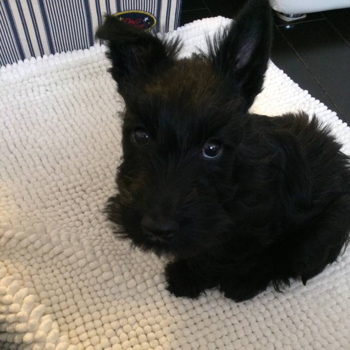 074a7526 8382 4908 898b a2be60c7c481