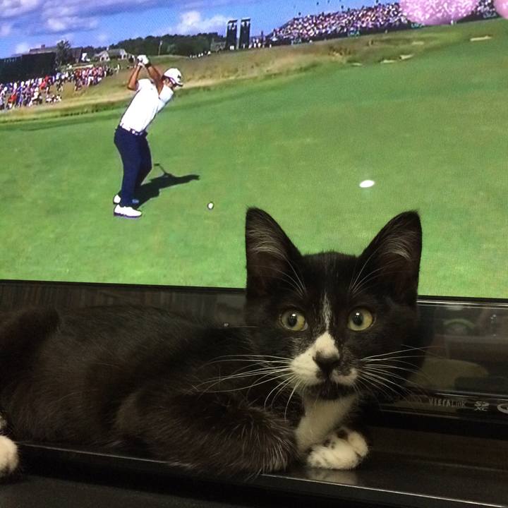 074b1955 5a5e 465f a33f 7c0845b1573c