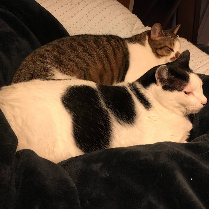 074b1e64 91e7 47b8 ba37 8de0dad833d0