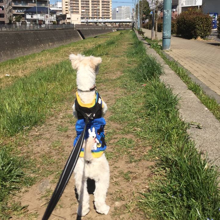 074b6bea 4a3b 48cc aad6 8db4643aba3c