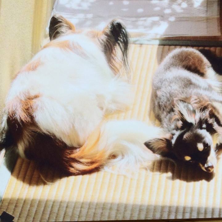 074b6e7f af23 4344 82f9 c221a09dc0a8