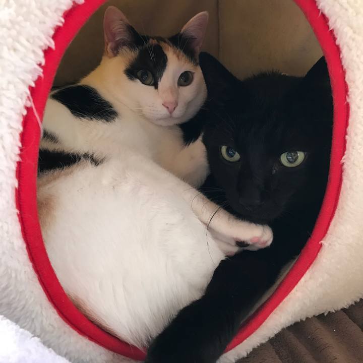 074b85e8 45d7 4f98 8451 e2c4c2892359