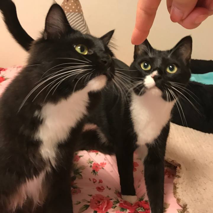 074c591d 8edb 4481 9d78 20e6c0ef1efb