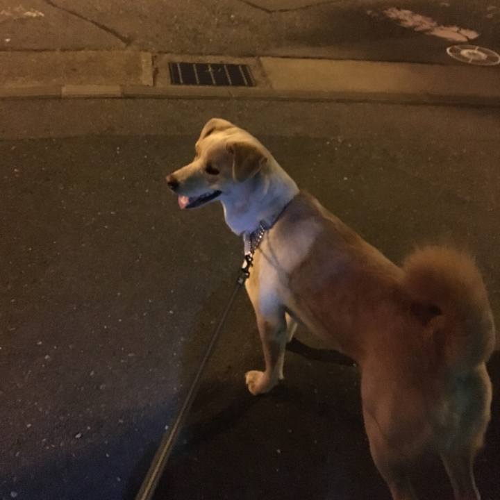 074ca701 b78e 4aa6 9eb6 2f30f50479b6