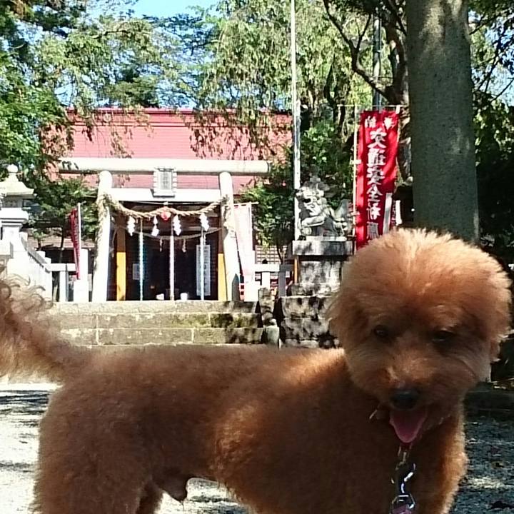 074cee5e dab7 41c1 bf96 66b4079685d7