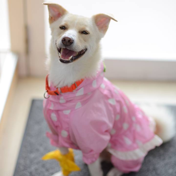 074d2e53 672b 4633 a54b 735845a18417