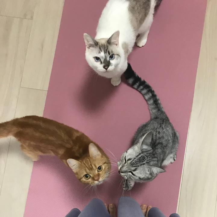 074d9ce6 999a 483e 9178 b900b1b0b8a4