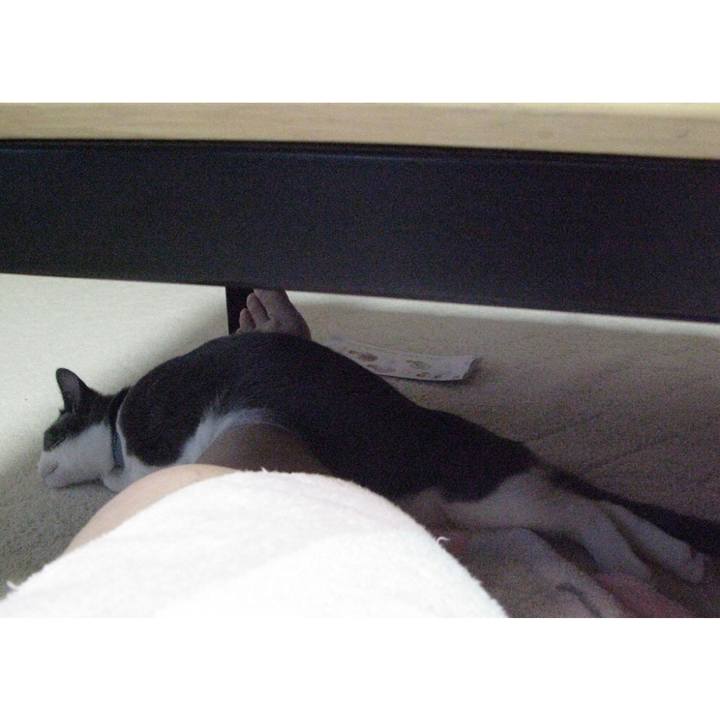 074e9150 de8d 4164 b4c2 b92accb42622