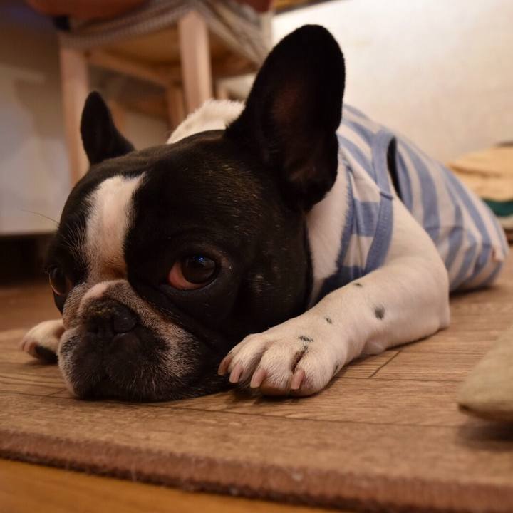 074ee5a0 27b4 441a ba8b 478989c6a116