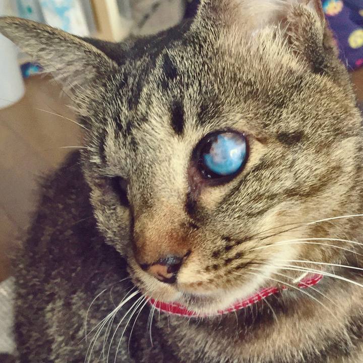 074f025f c7ae 4866 85ca 81a75d3af189