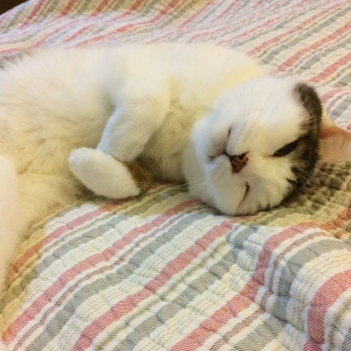 074f1400 2dfc 455b 9e68 566a25edb73d