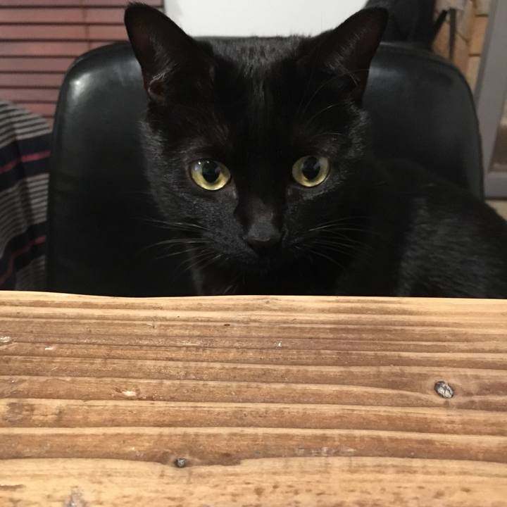 074f5d90 2610 492a 9e95 804904c35c48