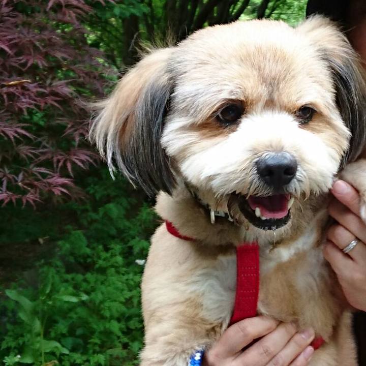 07505bf3 1578 4a20 b1d0 36bf26c6c1af