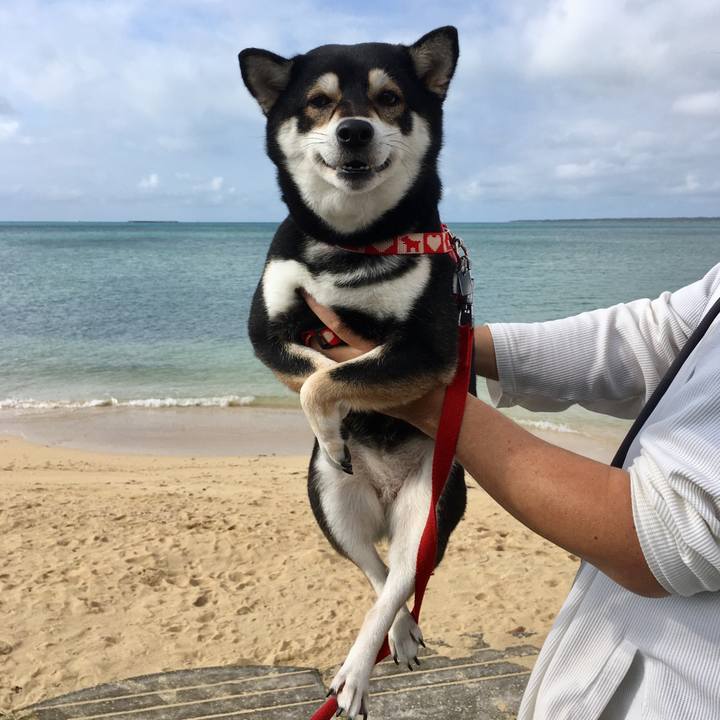 075165de 95d9 4f91 a0df 02d643a9b5f2