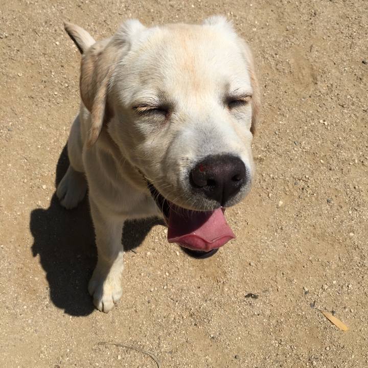 0751b838 d04a 46fb 9c58 358c5a1fdaf6