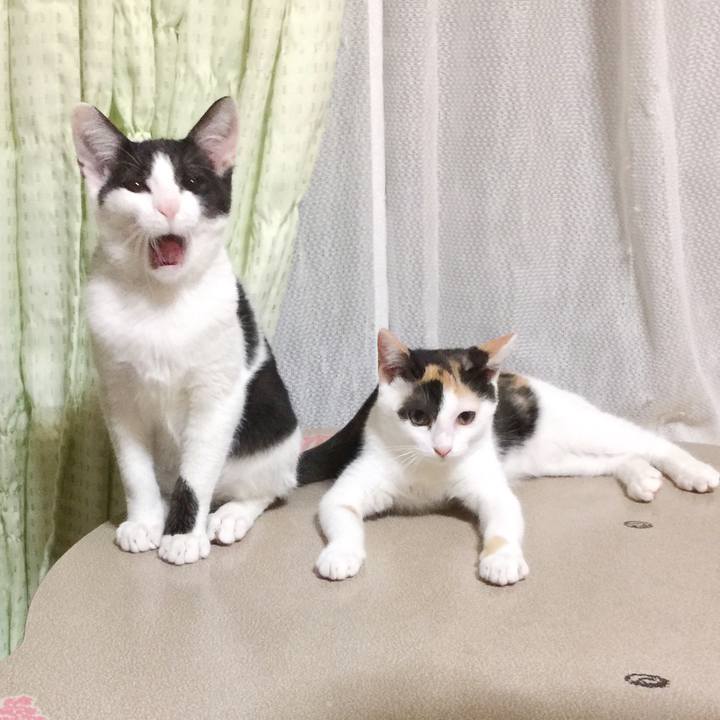 0751e157 95d4 4e4e afea acd3b89e2a88