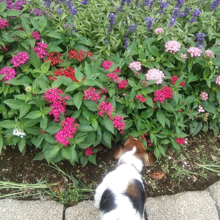 075209c7 1c8f 4e62 8f22 244a30e79b82