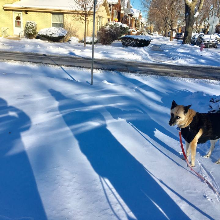 07523700 6f2b 40a5 a13b 09a6f58a9f10