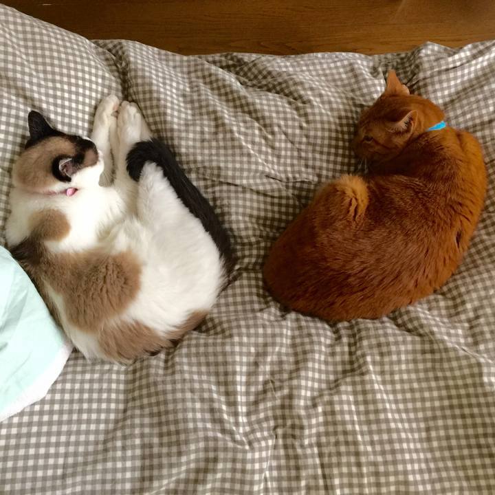 07523727 ef67 4509 9166 98596e89f36d