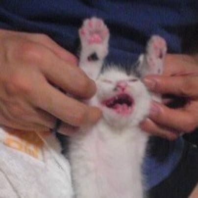 07524a55 caf7 4ea2 af2b 2693f2d1218e