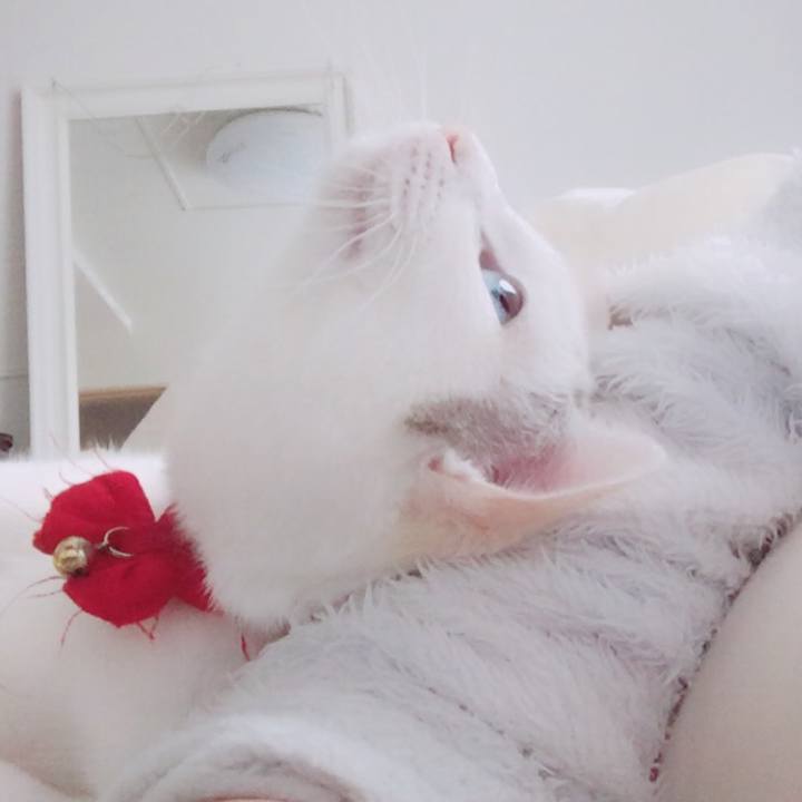 0752d9c1 2844 4014 8ff6 11d8142a448a