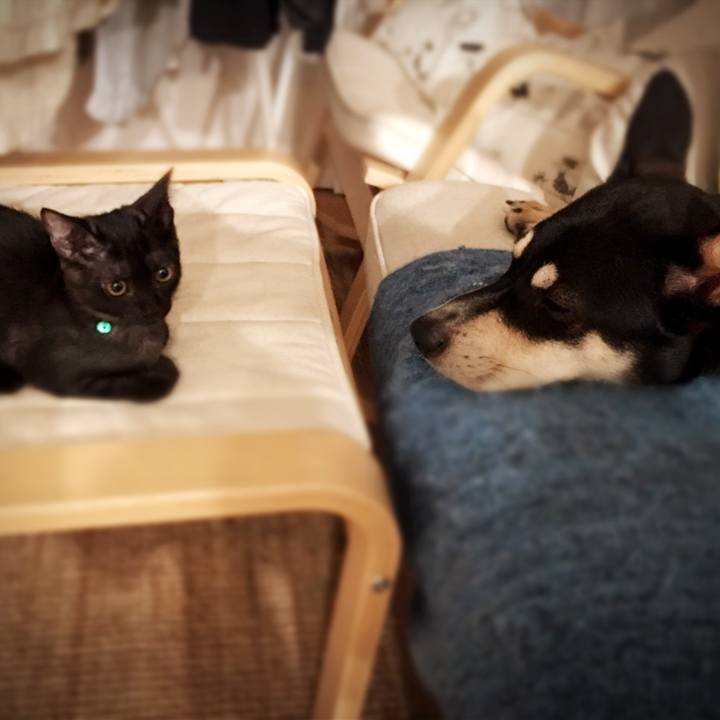 0753b671 e9db 4ae9 8b98 3eef5bce8c16