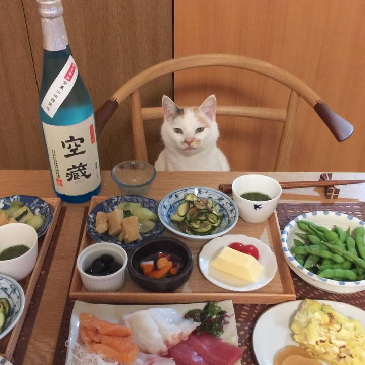 0754f47f 97a5 4776 b3fd 82f0cdb312ef