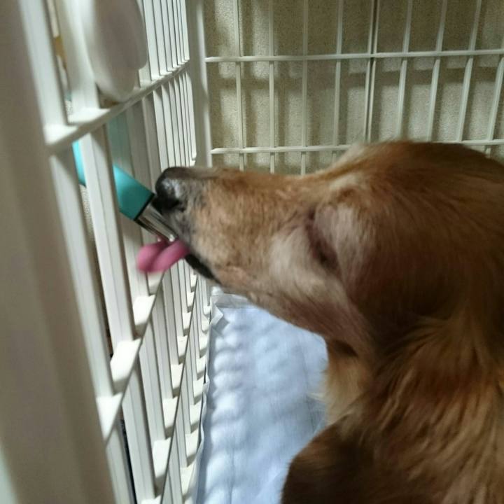 075531de 128f 4ef0 928d cbba085af306