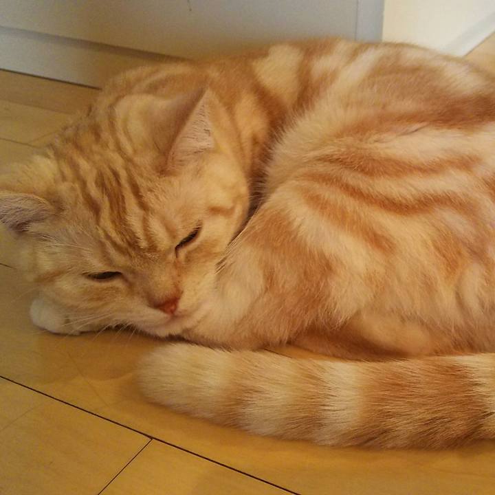 07559d88 49ae 426d 8276 949103d013b4