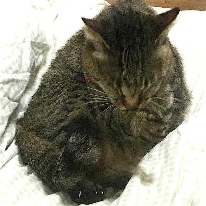 0755a215 1a09 4391 b56f 2c6ef0086d94