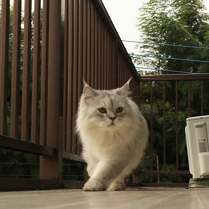 07567c6f 99d3 4a57 8303 22ecebd6adef