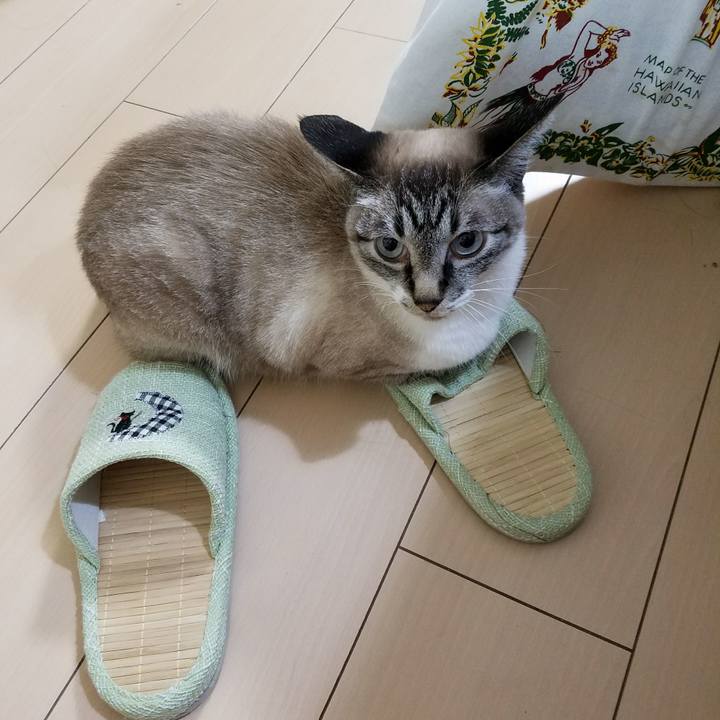 07569d51 ed25 4382 ab11 061c62818f1a