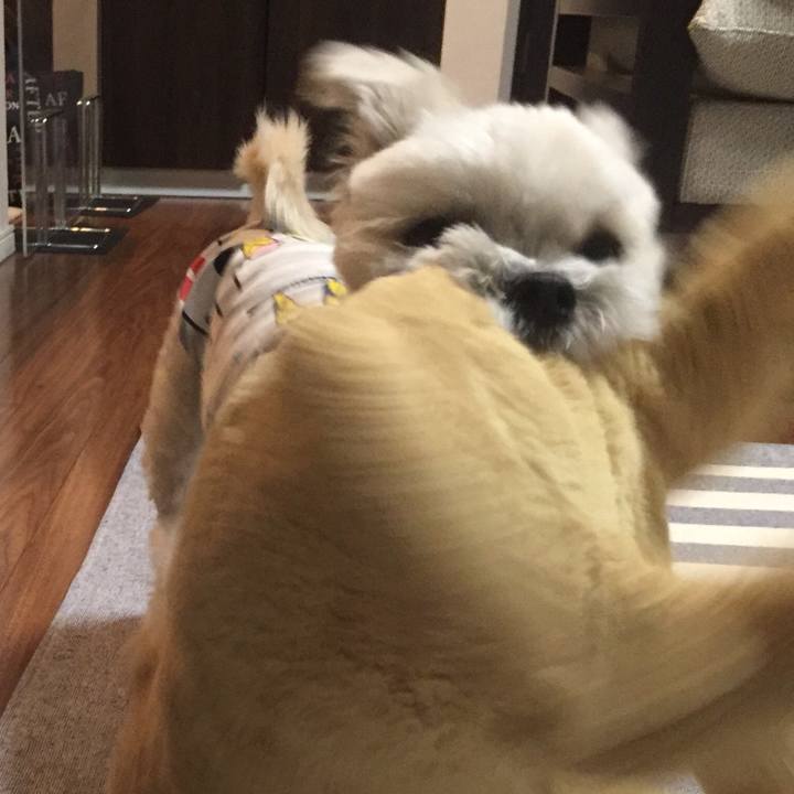 0756fca4 2731 4377 9610 8c39989beadc