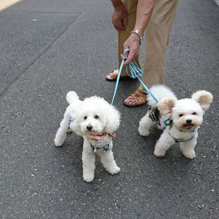 0757215e 23ae 48a9 9c05 fb95a4f59d54