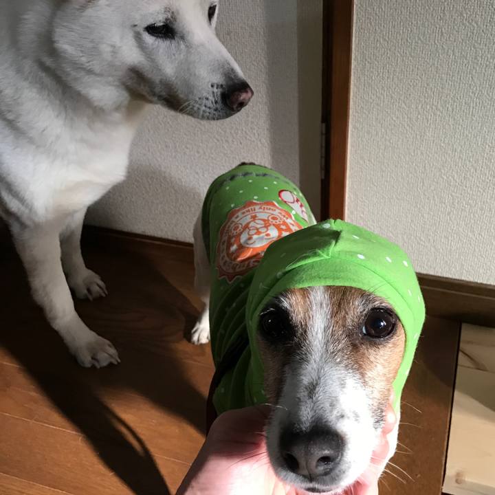 07573e9f 0aba 49ed ae5f 6cd010882093