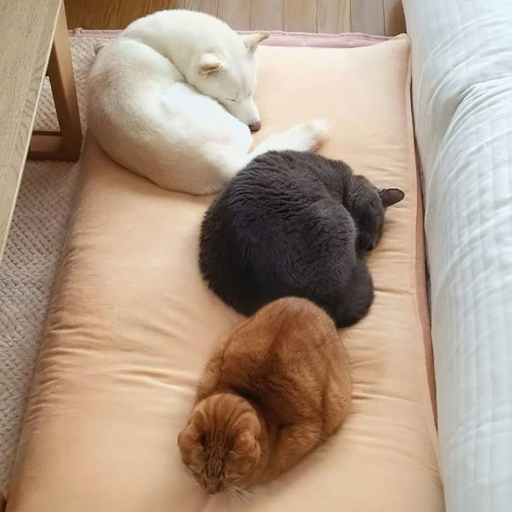 07576a1a e270 47d0 b730 4478cedeb1f6