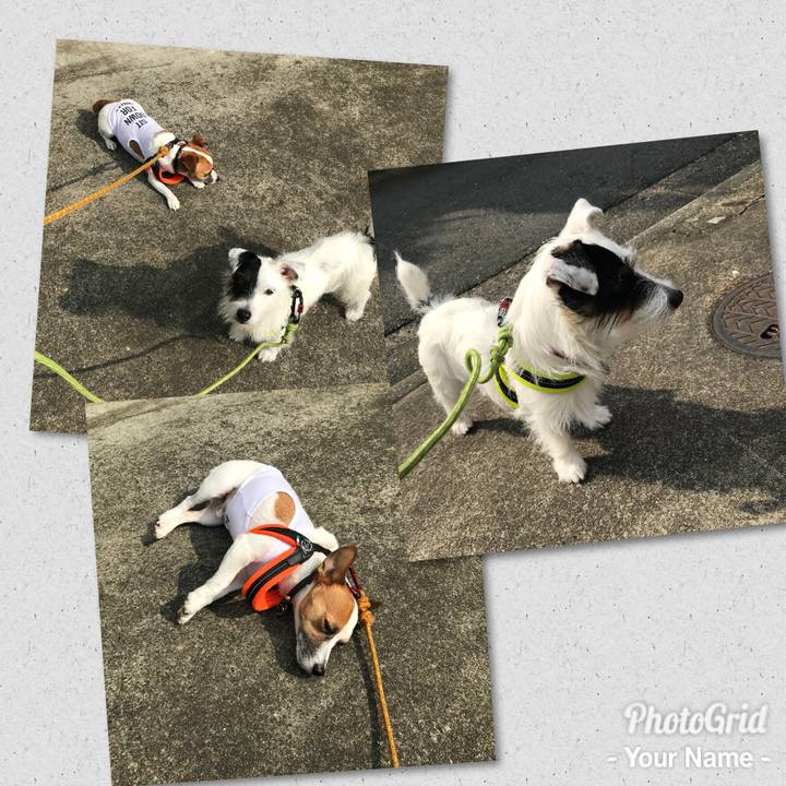 07576eb3 0533 488b 9a74 4bb3d1476af8